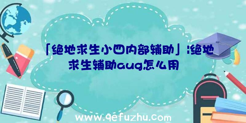 「绝地求生小四内部辅助」|绝地求生辅助aug怎么用